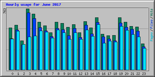 Hourly usage for June 2017